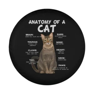 funny anatomy diagram green eyes cat illustration for spare tire cover