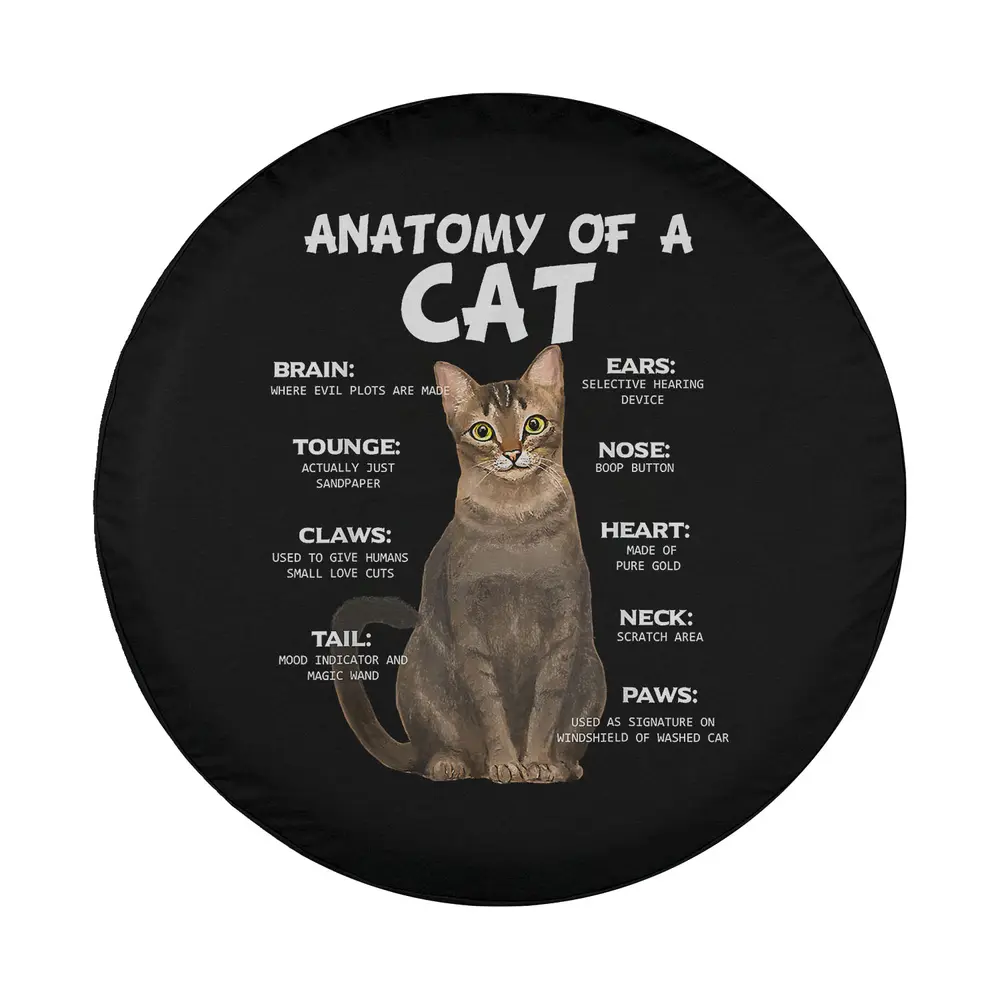 funny anatomy diagram green eyes cat illustration for spare tire cover