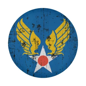 Distressed golden wings star US Army Air Force vintage spare tire cover design only